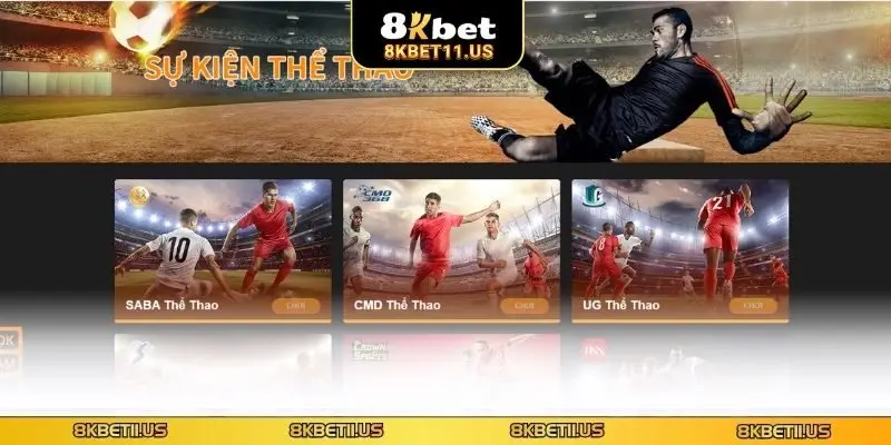 Cá độ thể thao đặc sắc thú vị