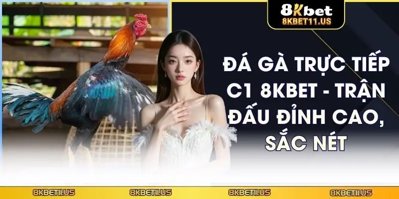 Đá gà trực tiếp C1