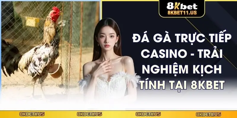 Đá gà trực tiếp casino