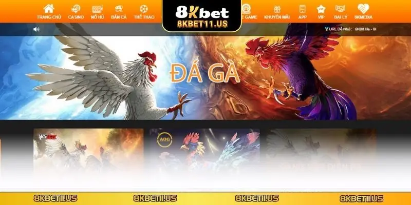 Rút tiền 8KBET Giải đáp thắc mắc về giao dịch thường gặp